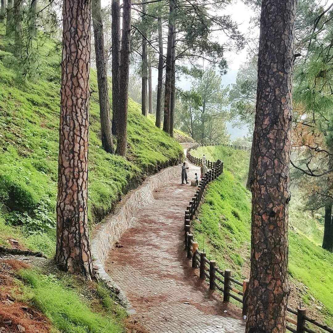 Shimla Hill in Abbottabad